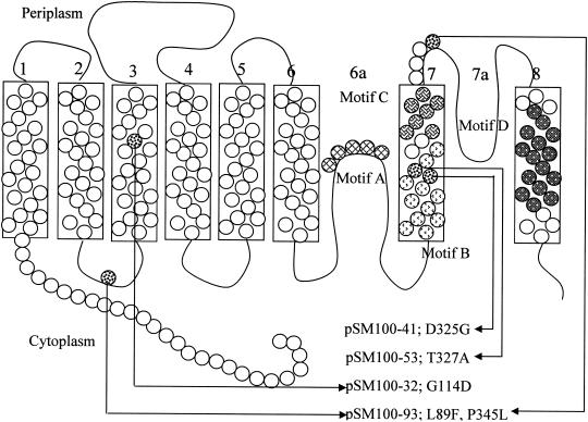 FIG. 1.