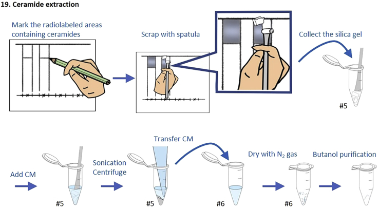 Figure 3