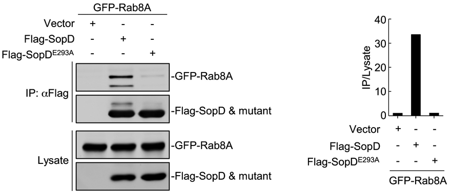 Extended Data Fig. 8.