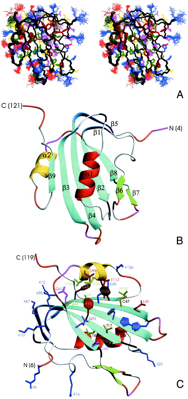 Fig 2.