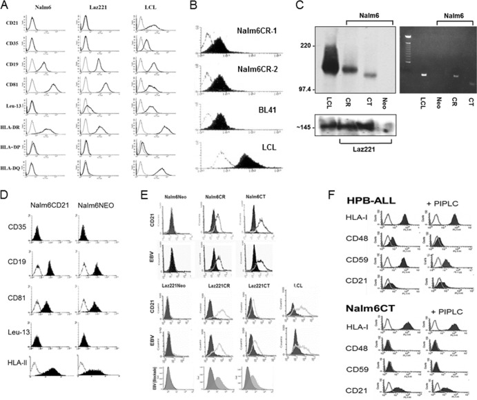 FIG 1