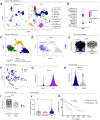 Figure 1. Human APOE levels are elevated in PDAC and correlate to patient survival. A, UMAP analysis of the 13 identified cell populations in human adjacent/normal pancreas (n = 3) and PDAC tumors (n = 16). B, Dot plot of APOE in all identified cell populations in human single-cell data set. Color represents average expression. Size of the dot represents expression frequency. C, UMAP visualization of four identified myeloid cell subpopulations in the human PDAC tissue. D, Feature plot of APOE expression in all identified myeloid cell populations in human PDAC. Gray, low expression; blue, high expression. Black outline denotes APOE-positive macrophages. E, Violin plot of normalized gene expression of APOE in PDAC and adjacent normal pancreas macrophages in human PDAC. Statistical significance was determined using nonparametric Wilcoxon rank sum test. F, UMAP visualization of human PDAC fibroblast subpopulations. G, Violin plot of normalized gene expression of APOE in human myCAF and iCAF populations. H, Violin plot of normalized gene expression of APOE in PDAC and adjacent normal pancreas iCAFs in human PDAC. Statistical significance was determined using nonparametric Wilcoxon rank sum test. I, Violin plot of normalized expression of APOE in human monocytes. Statistical significance was determined using nonparametric Wilcoxon rank sum test. J, Human APOE concentration (μg/mL) in plasma from healthy donors (n = 15), chronic pancreatitis patients (n = 17), and PDAC patients (n = 155). Statistical significance was determined using one-way ANOVA with Tukey test for multiple comparisons. n.s., not significant. K, Survival analysis of PDAC patients stratified by plasma APOE levels. APOE low, n = 32; APOE high, n = 32. Statistical significance was determined using log-rank (Mantel–Cox) test.