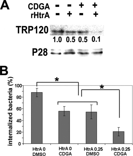 FIG. 8.