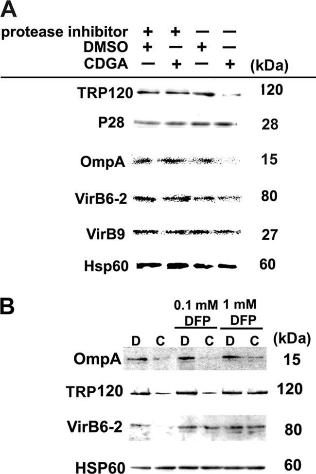 FIG. 6.