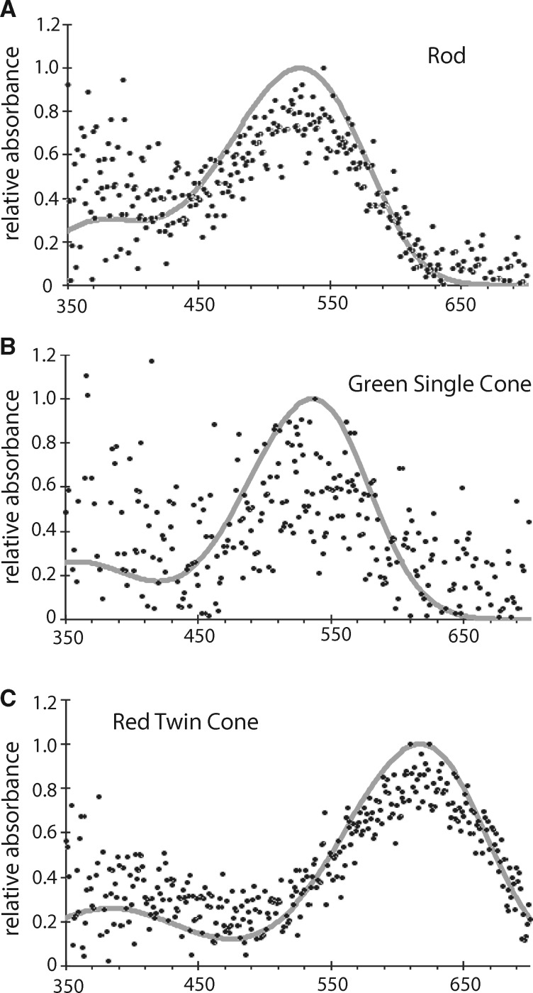 Figure 3.