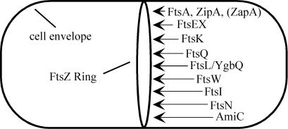 FIG. 6.