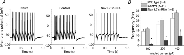 Figure 5