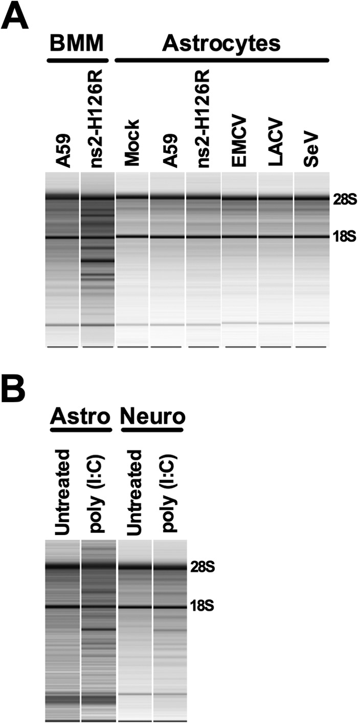 Fig 9