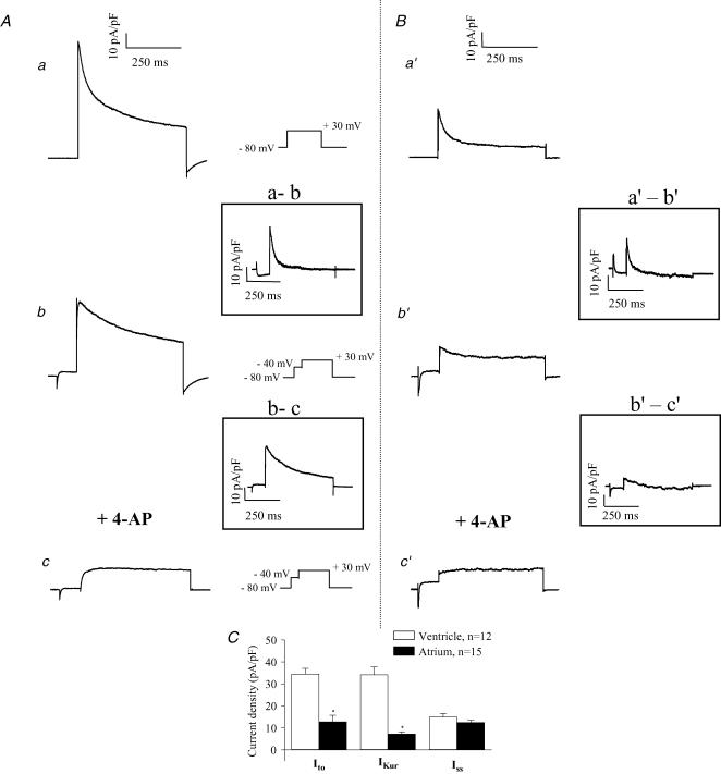 Figure 12