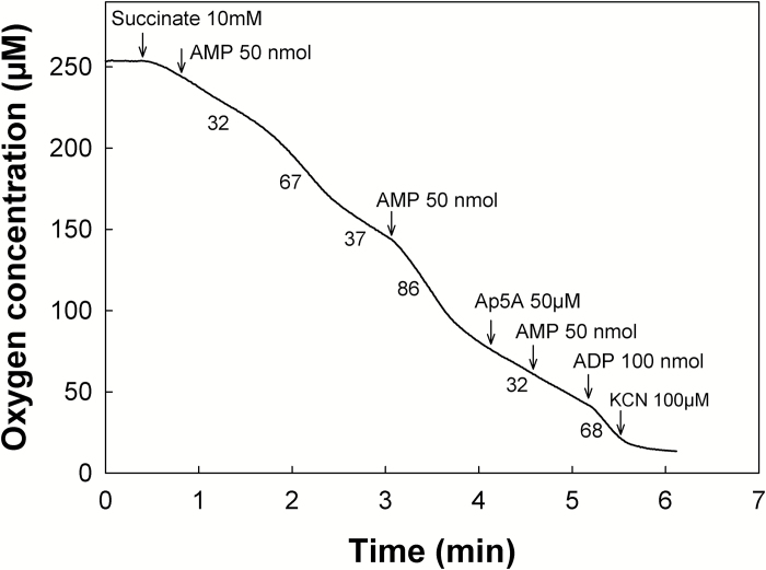 Fig. 6.