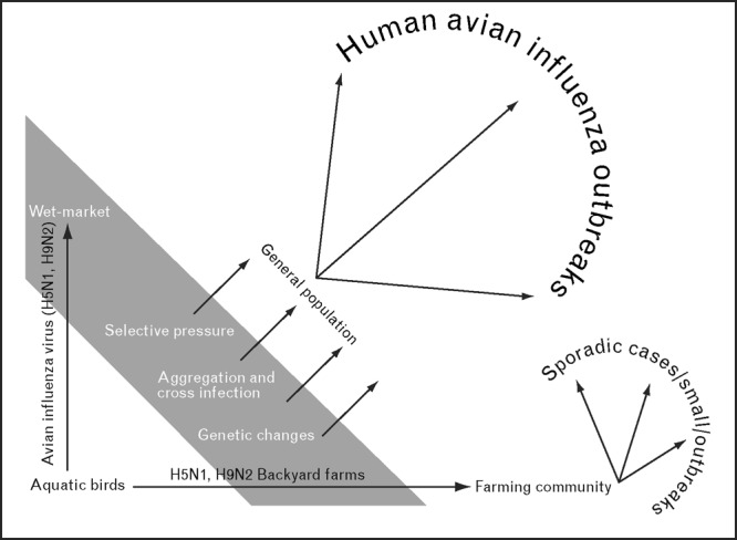 graphic file with name coidi-19-401-g005.jpg