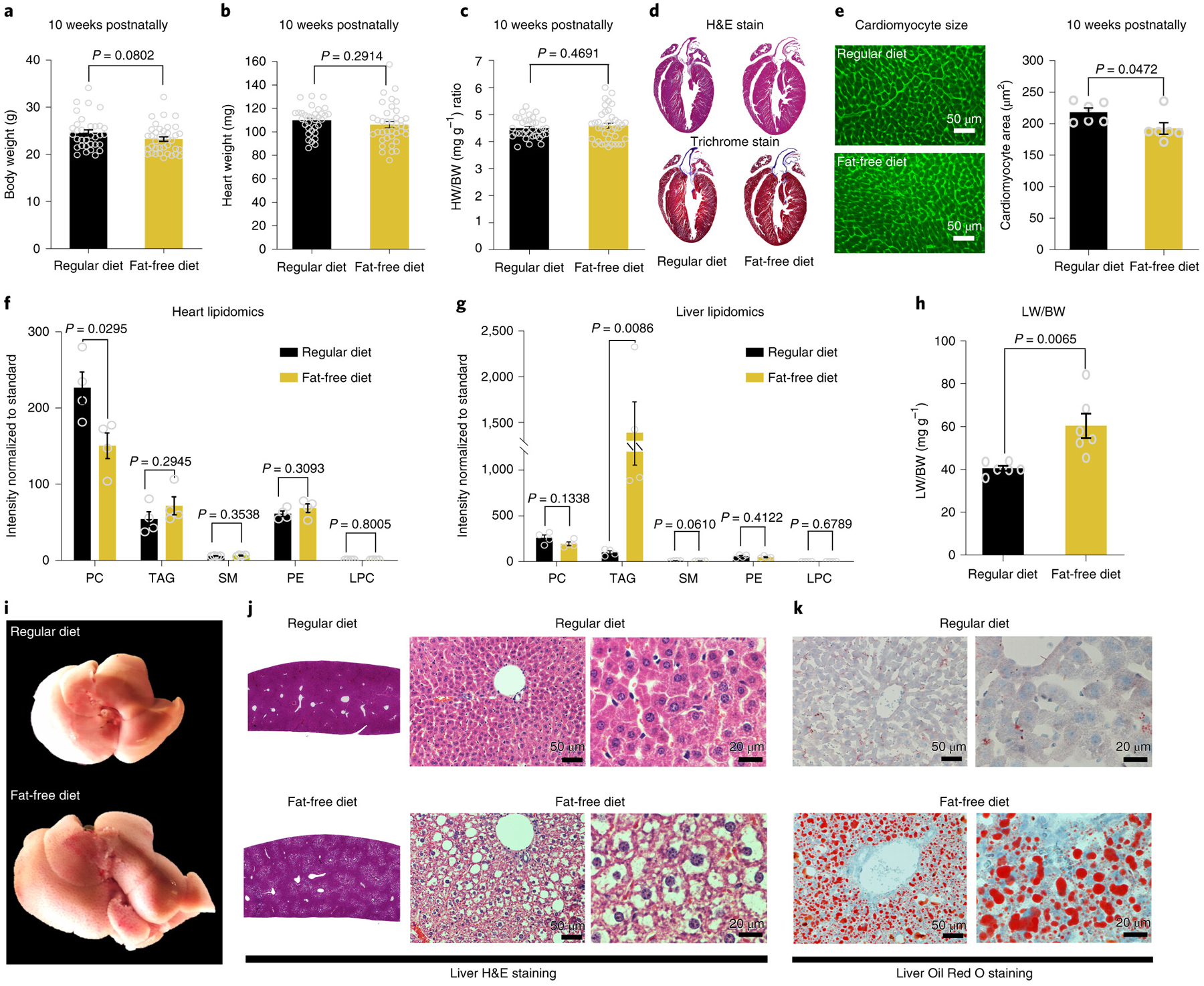 Fig. 2: