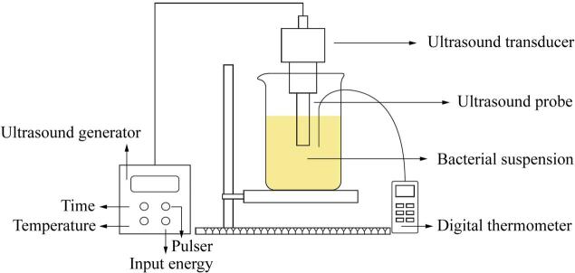 Fig. 1