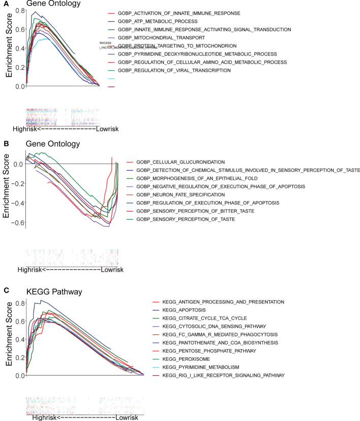 Figure 6