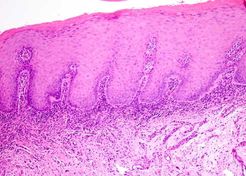 Fig. 8
