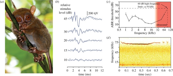 Figure 1.