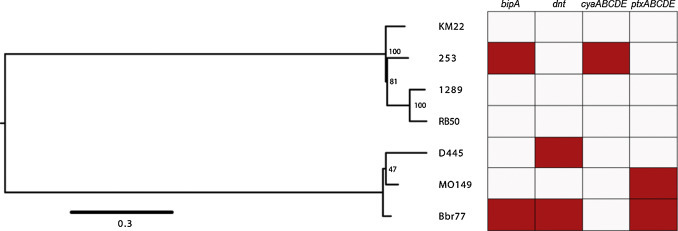 Fig. 4