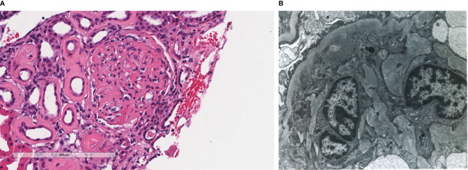 Figure 3