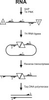 FIGURE 2.