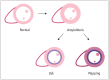 Fig. 10