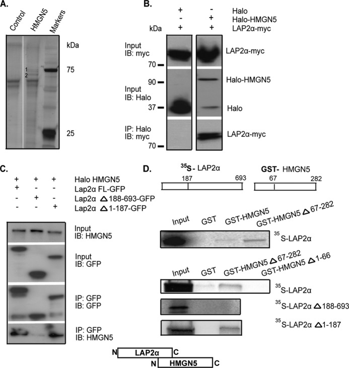 FIGURE 1.