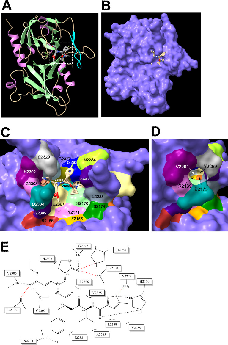 FIG 5