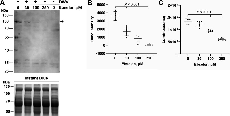 FIG 3