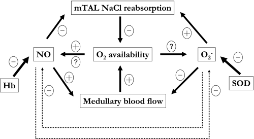 Fig. 11.