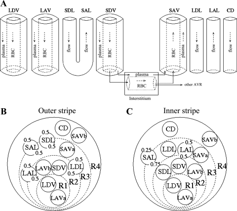 Fig. 1.