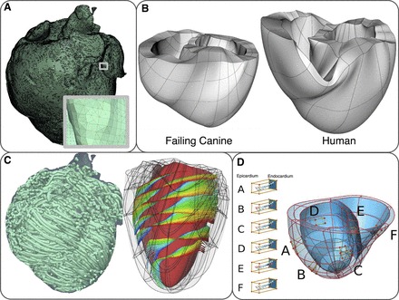 Fig. 6.