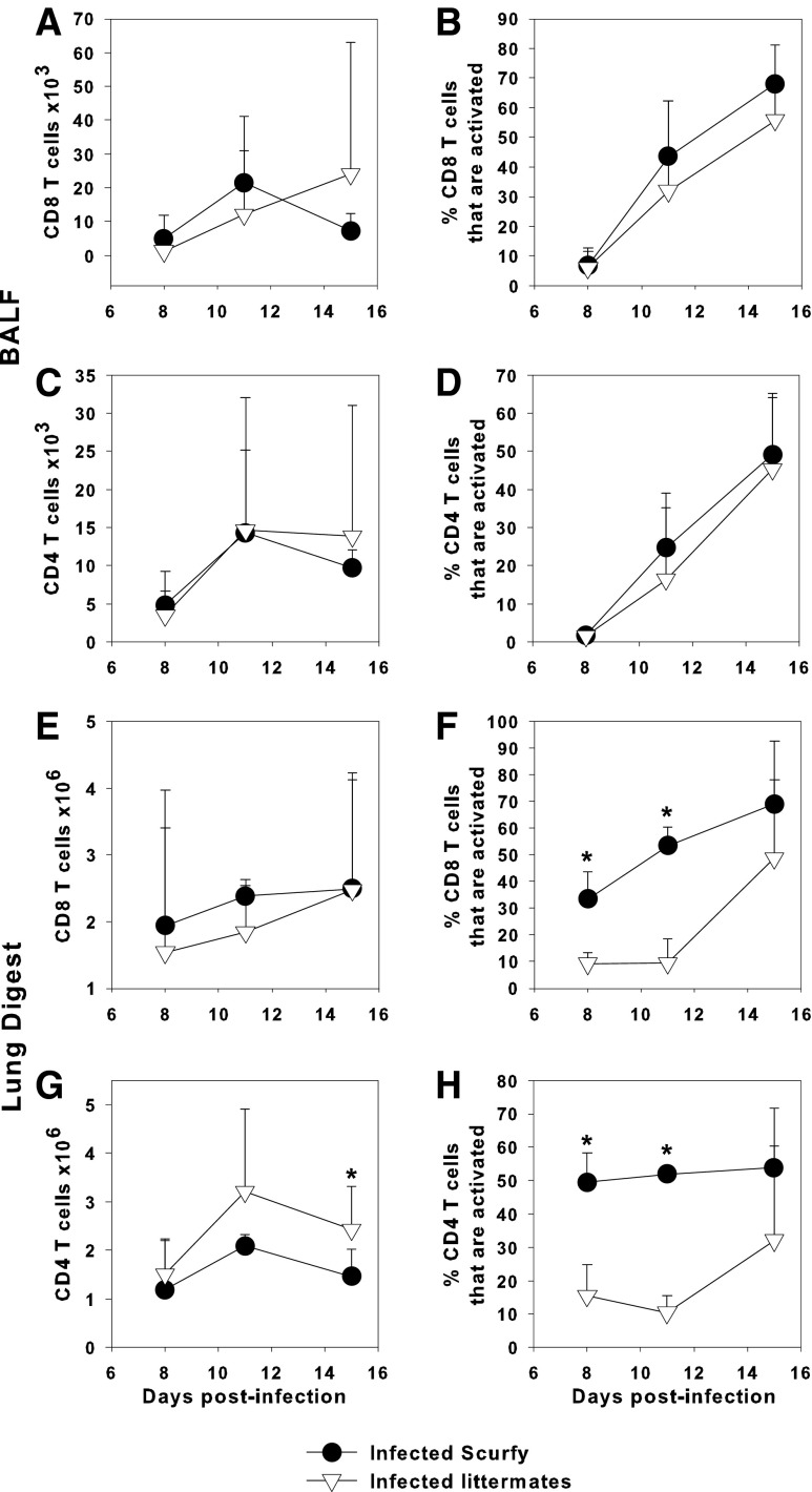 FIG. 5.