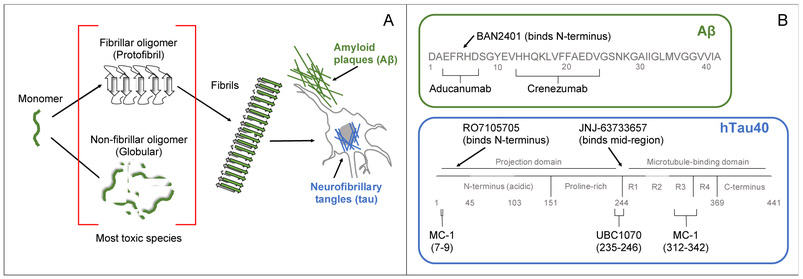 Figure 1: