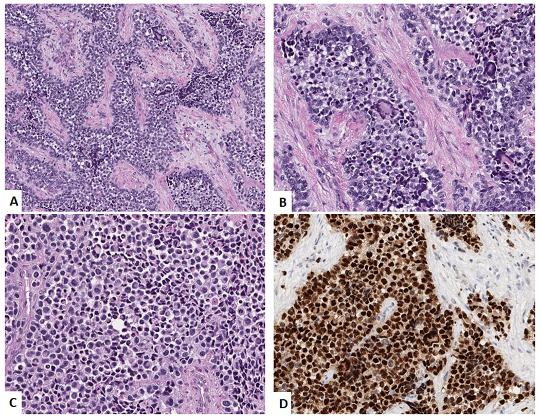 Figure 3: