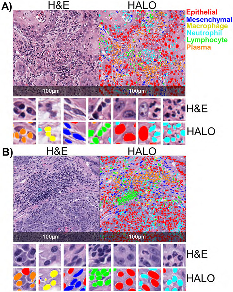 Figure 1: