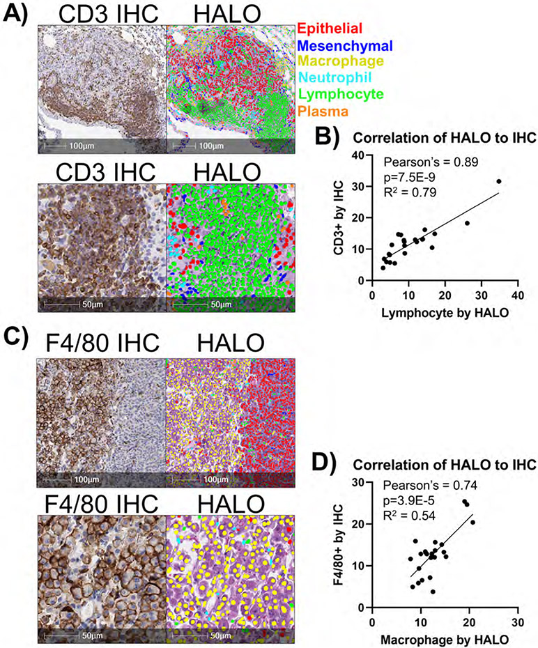 Figure 2: