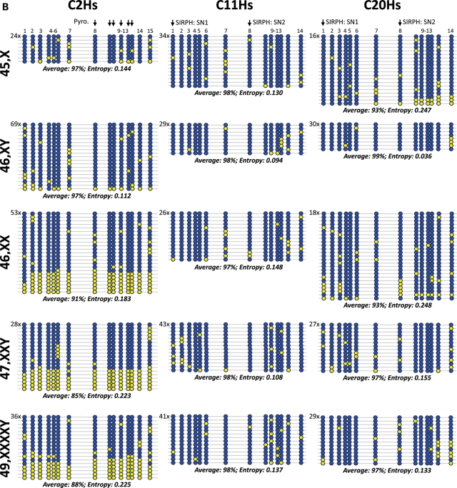 Figure 4.