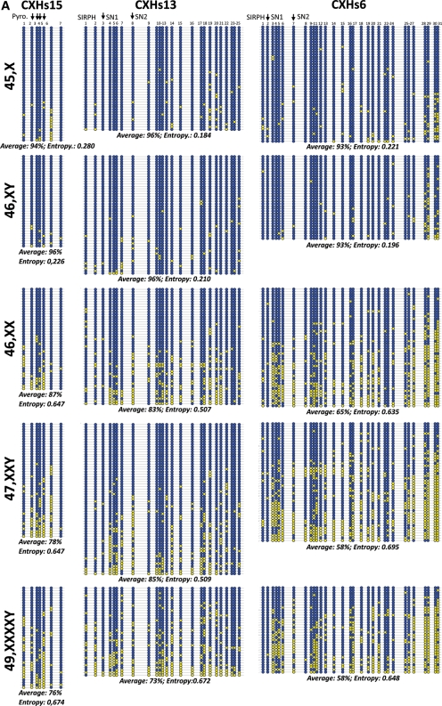 Figure 4.