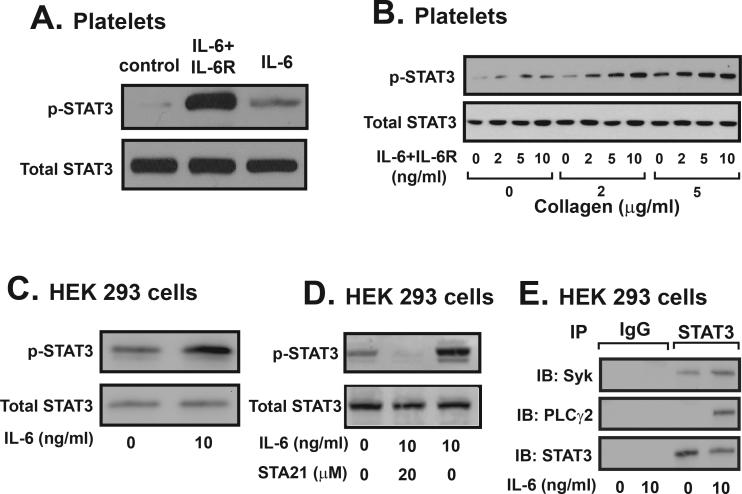 Figure 6