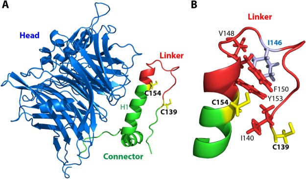 FIG 12