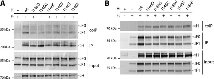 FIG 4