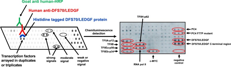 Fig. 4