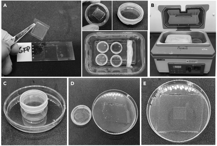 Figure 3