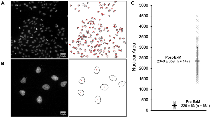 Figure 6