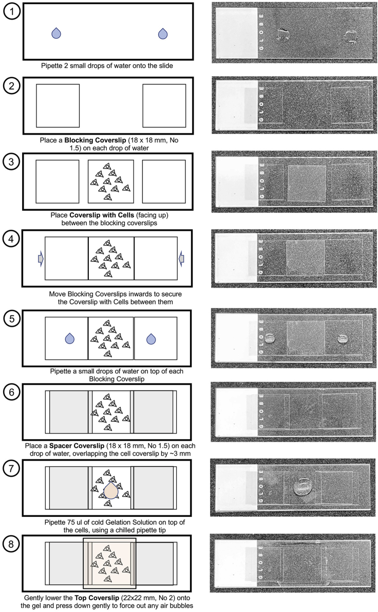 Figure 2