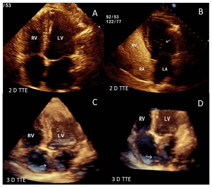 Figure 5