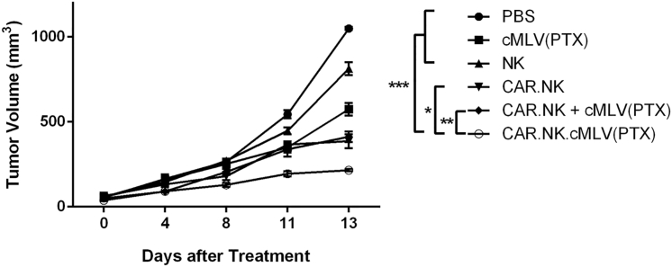 Figure 5