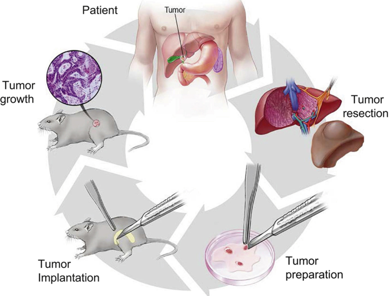 graphic file with name fx1.jpg