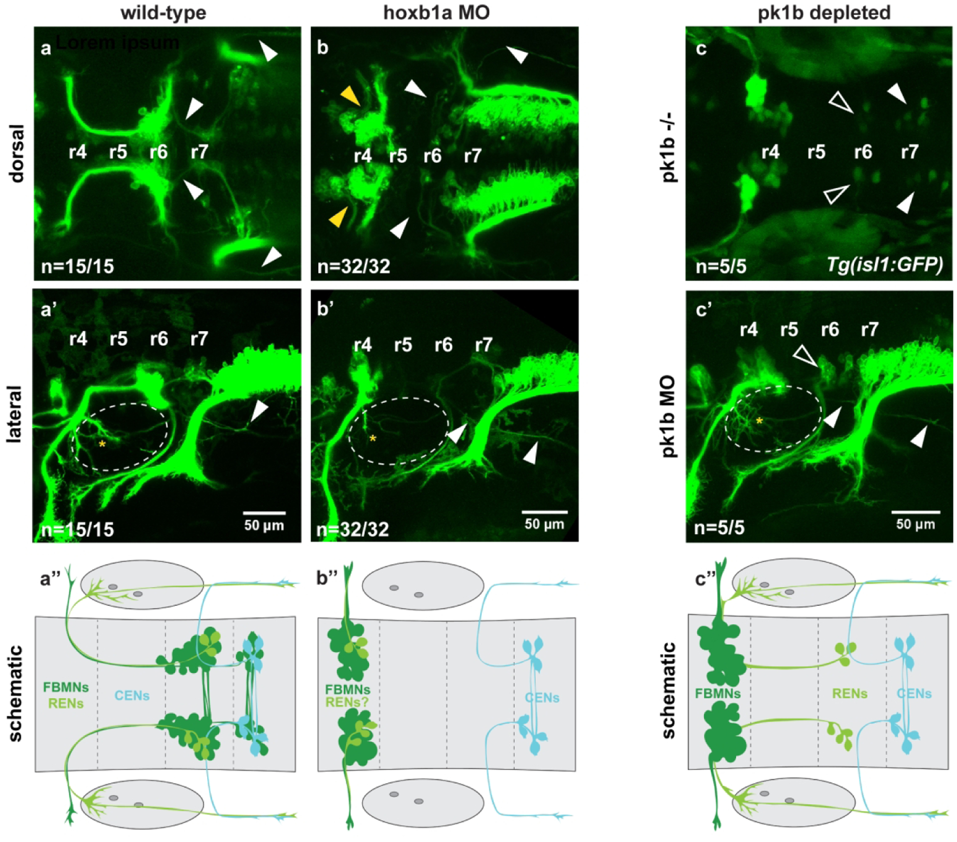 Figure 4: