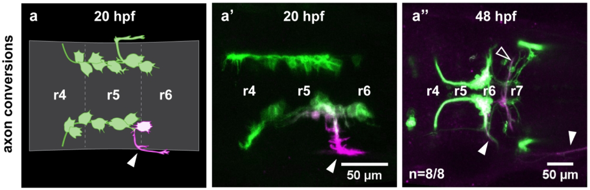 Figure 3: