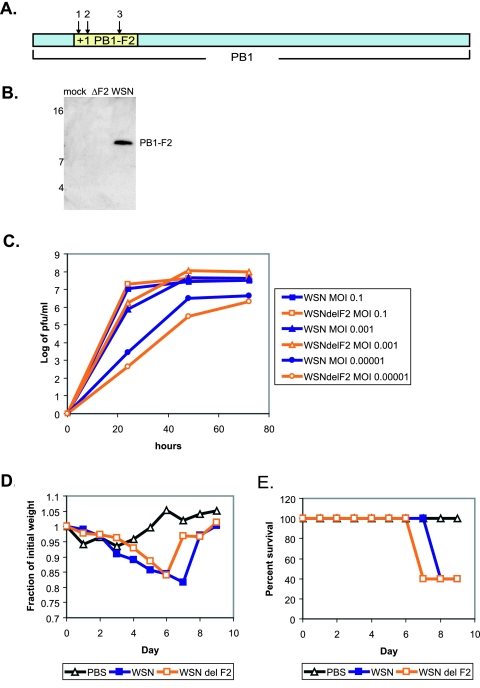 FIG. 2.